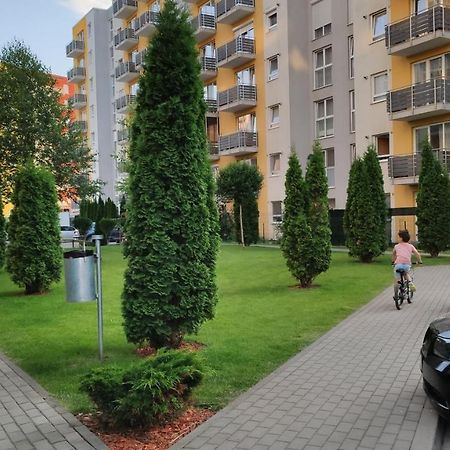 Brasov Kronstadt Garden Studio エクステリア 写真