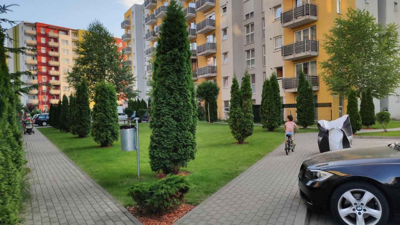Brasov Kronstadt Garden Studio エクステリア 写真
